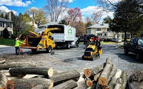 Best Commercial Tree Services  in Green Cove Springs, FL