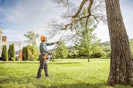 How Our Tree Care Process Works  in Green Cove Springs, FL